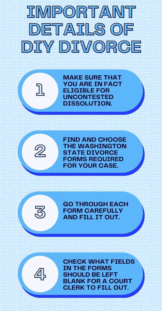 Infographic about Details of DIY Divorce